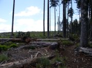 6.10.06 Table Mtn_3CR 135 